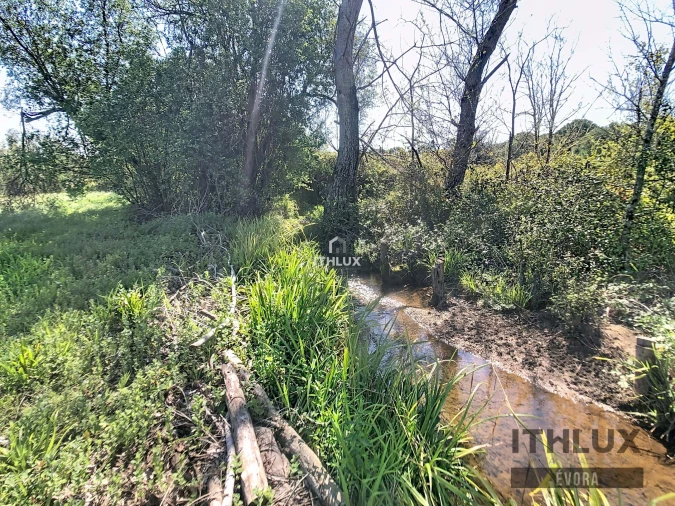 Quinta T1 para Venda em Portel Foto 5