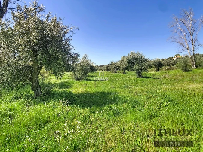 Quinta T1 para Venda em Portel Foto 8