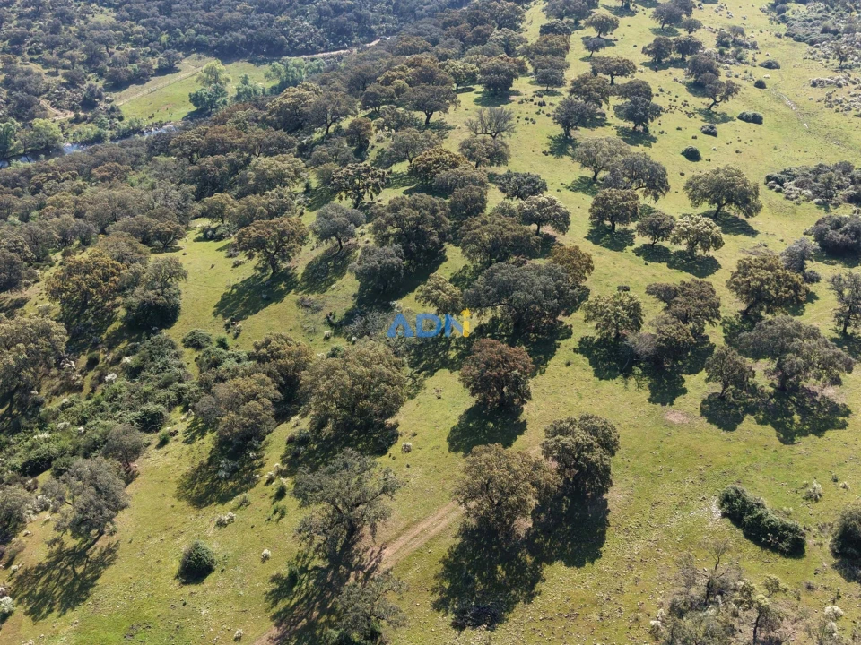 Terreno para Venda em Castelo Branco Foto 8