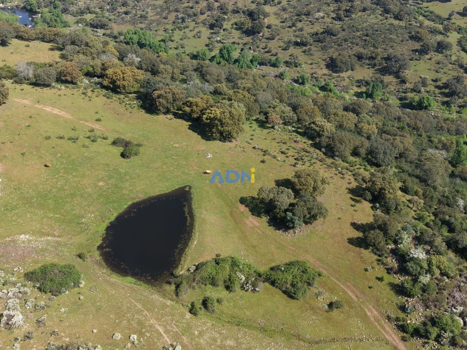 Terreno para Venda em Castelo Branco Foto 13