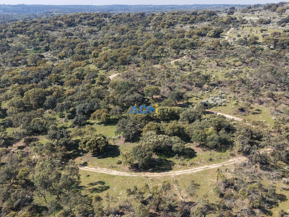 Terreno para Venda em Castelo Branco Foto 25
