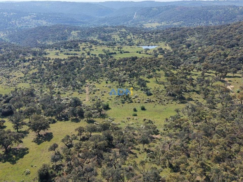 Terreno para Venda em Castelo Branco Foto 18