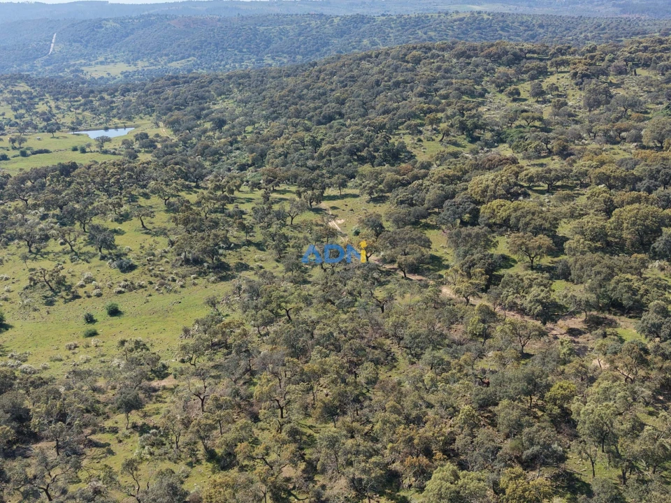 Terreno para Venda em Castelo Branco Foto 19