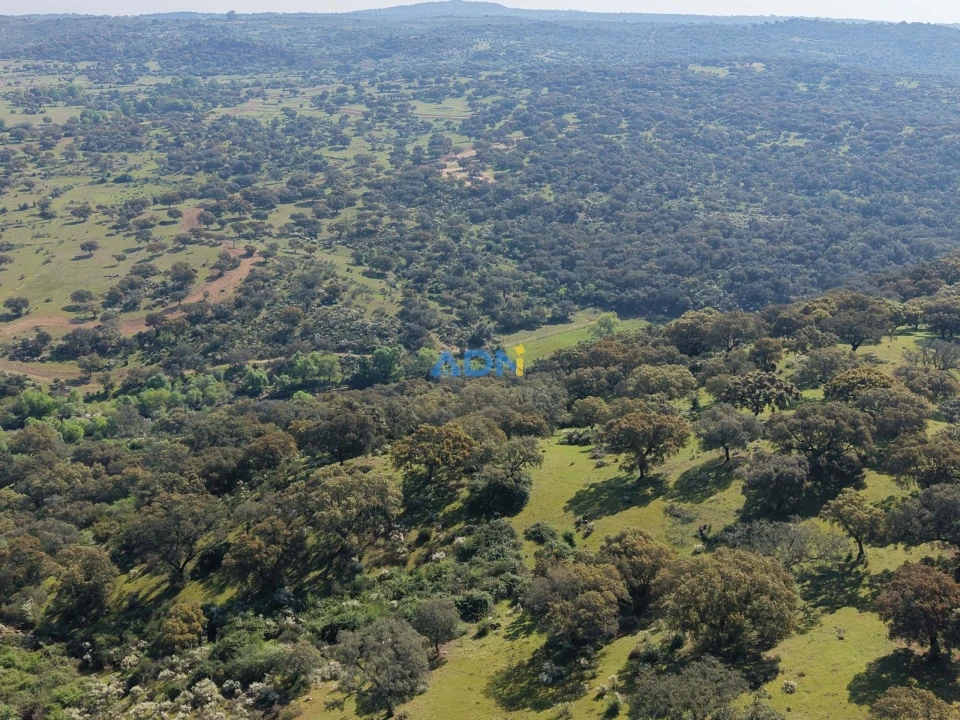 Terreno para Venda em Castelo Branco Foto 29