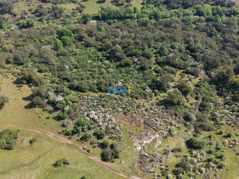 Terreno para Venda em Castelo Branco Foto 11