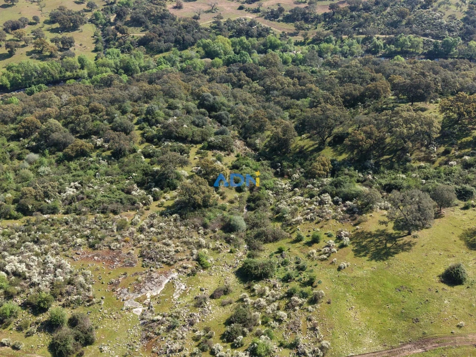 Terreno para Venda em Castelo Branco Foto 22
