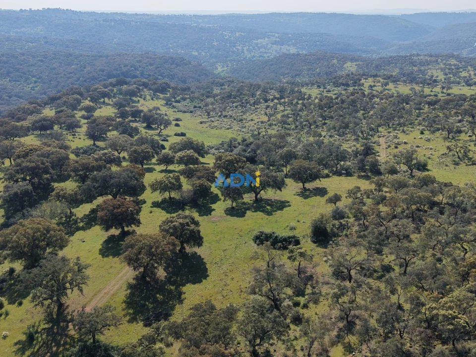 Terreno para Venda em Castelo Branco Foto 32
