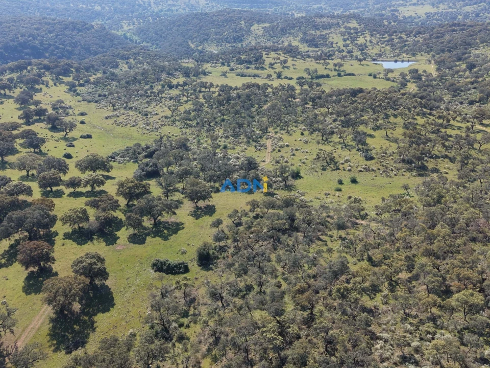Terreno para Venda em Castelo Branco Foto 5