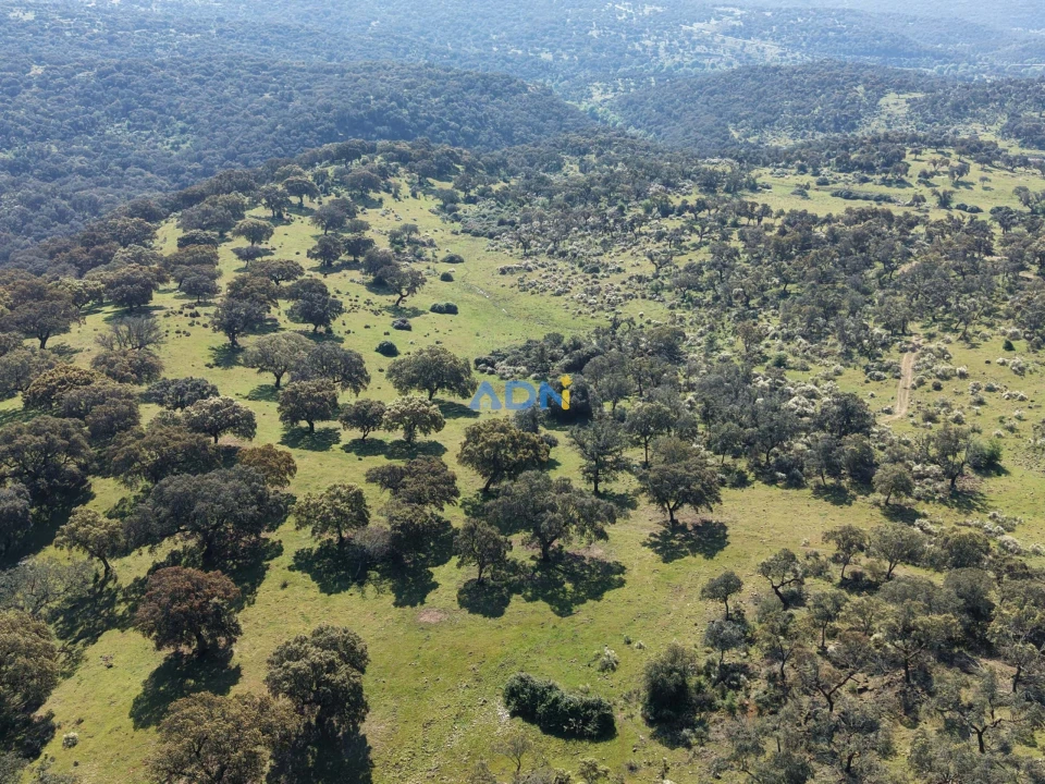 Terreno para Venda em Castelo Branco Foto 17