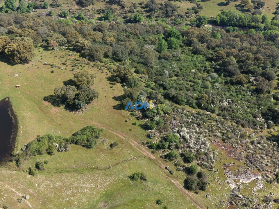 Terreno para Venda em Castelo Branco Foto 12