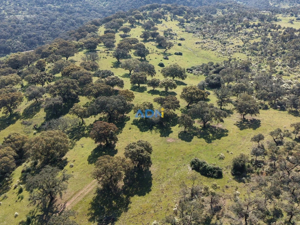 Terreno para Venda em Castelo Branco Foto 20