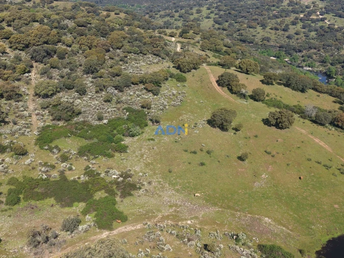 Terreno para Venda em Castelo Branco Foto 15