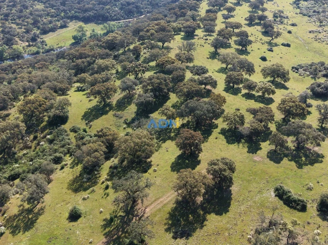 Terreno para Venda em Castelo Branco Foto 8