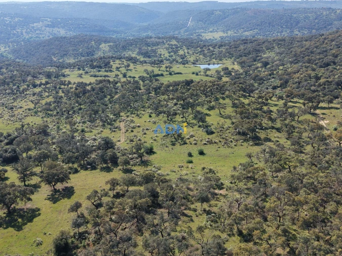 Terreno para Venda em Castelo Branco Foto 18