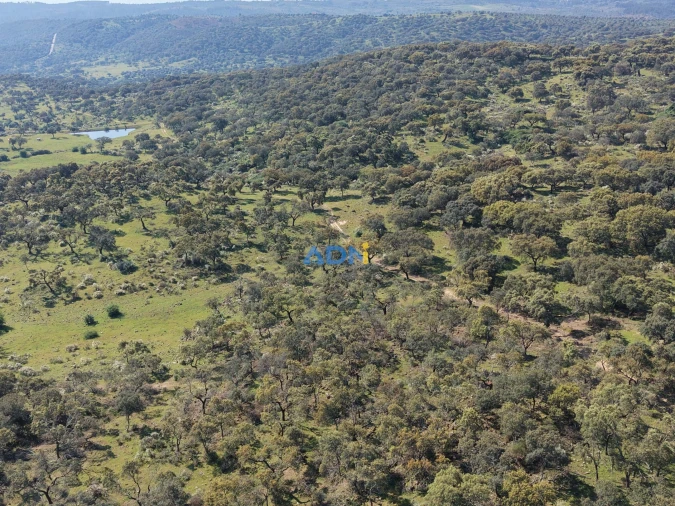 Terreno para Venda em Castelo Branco Foto 19