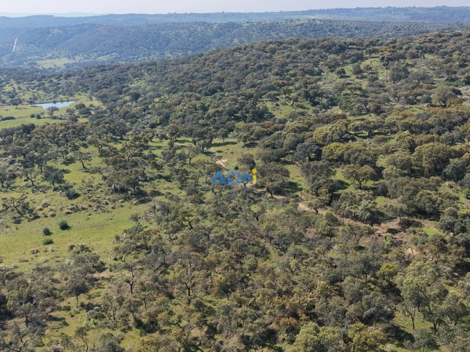 Terreno para Venda em Castelo Branco Foto 26
