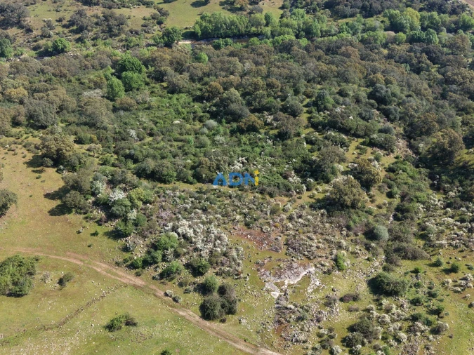 Terreno para Venda em Castelo Branco Foto 11