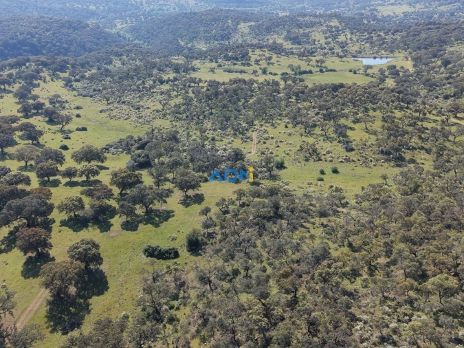 Terreno para Venda em Castelo Branco Foto 5