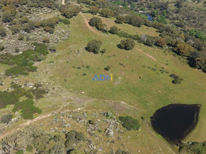 Terreno para Venda em Castelo Branco Foto 14