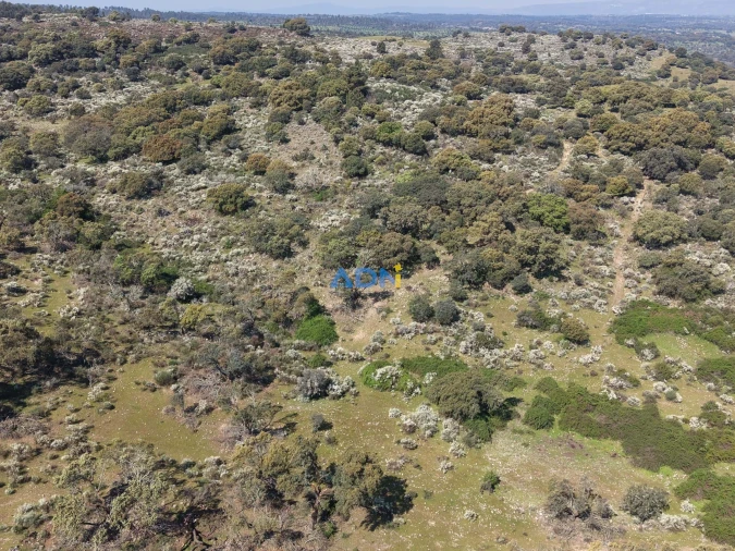 Terreno para Venda em Castelo Branco Foto 24