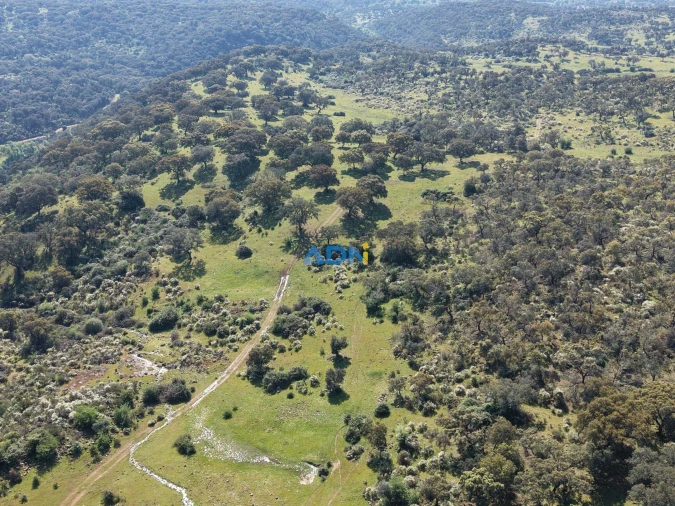 Terreno para Venda em Castelo Branco Foto 3