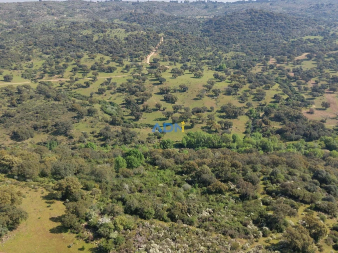 Terreno para Venda em Castelo Branco Foto 31