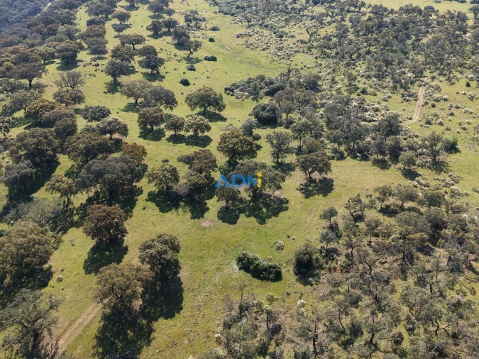 Terreno para Venda em Castelo Branco Foto 7
