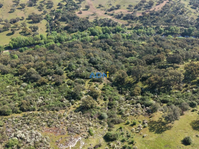 Terreno para Venda em Castelo Branco Foto 10