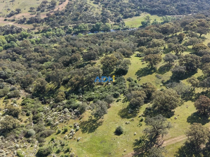 Terreno para Venda em Castelo Branco Foto 9