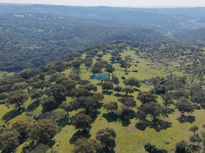 Terreno para Venda em Castelo Branco Foto 28