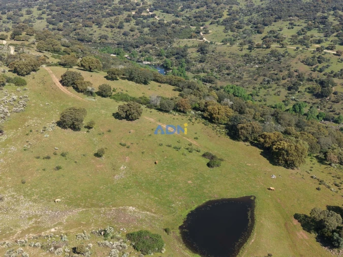 Terreno para Venda em Castelo Branco Foto 16