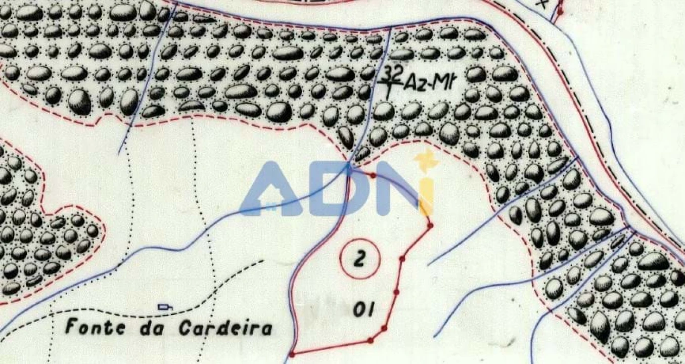 Terreno para Venda em Castelo Branco Foto 33