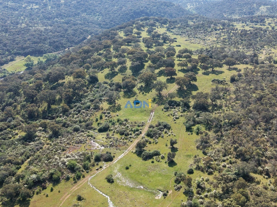 Terreno para Venda em Castelo Branco Foto 1