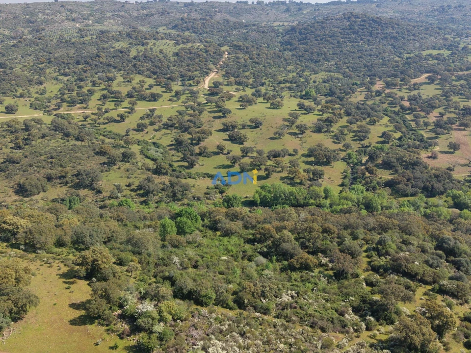 Terreno para Venda em Castelo Branco Foto 31