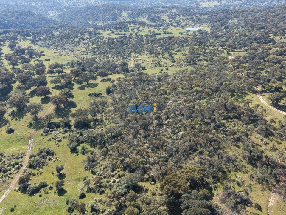 Terreno para Venda em Castelo Branco Foto 4