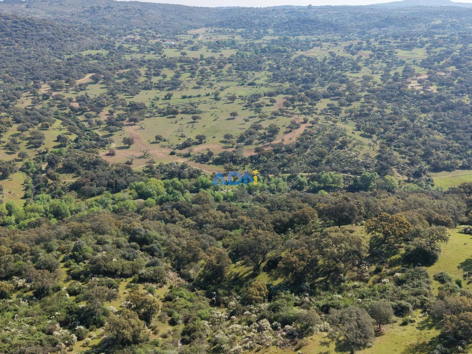 Terreno para Venda em Castelo Branco Foto 30