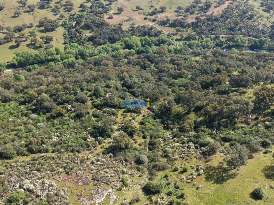 Terreno para Venda em Castelo Branco Foto 10