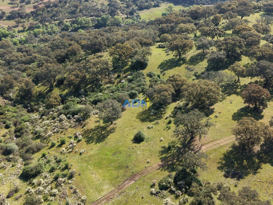 Terreno para Venda em Castelo Branco Foto 21
