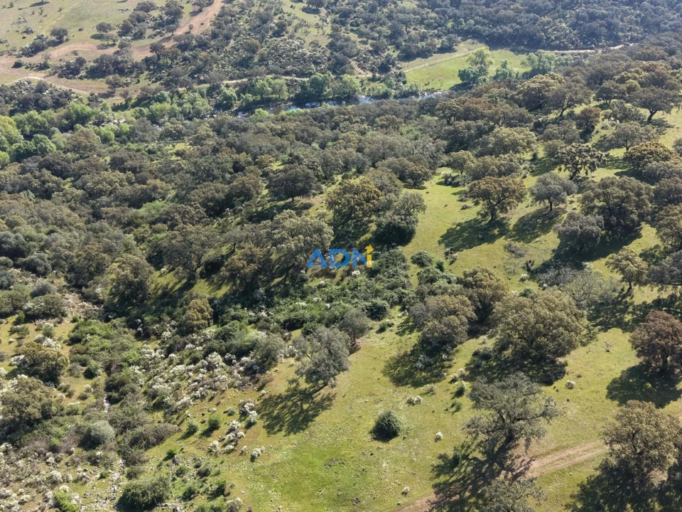 Terreno para Venda em Castelo Branco Foto 9