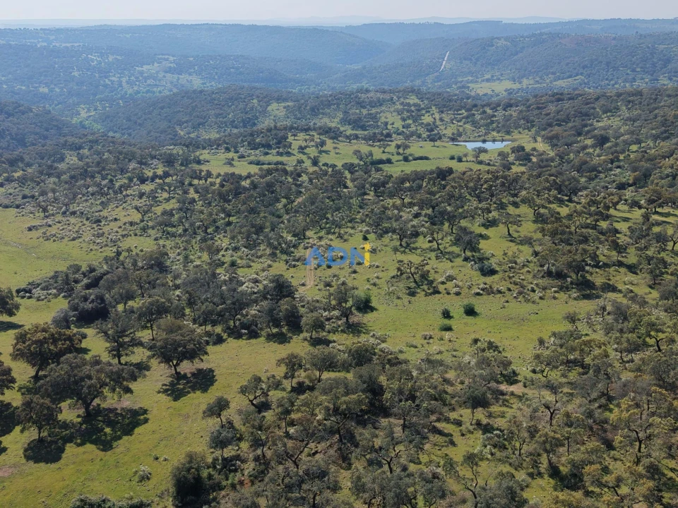 Terreno para Venda em Castelo Branco Foto 27