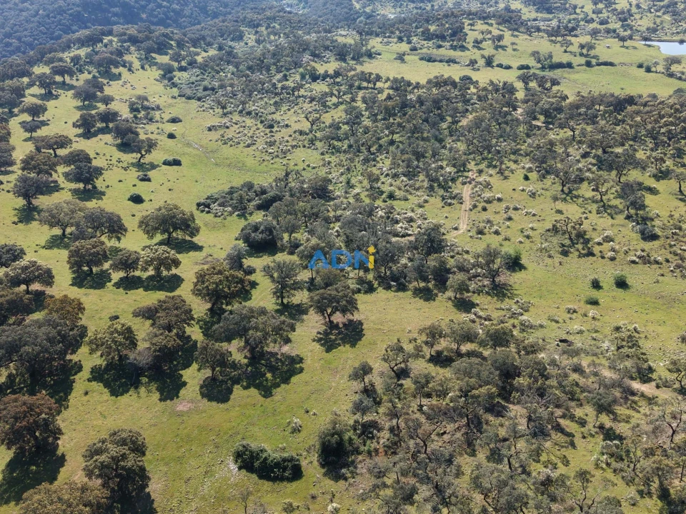 Terreno para Venda em Castelo Branco Foto 6