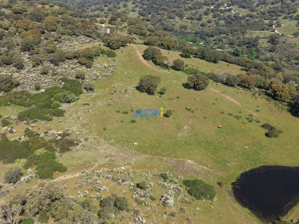 Terreno para Venda em Castelo Branco Foto 23
