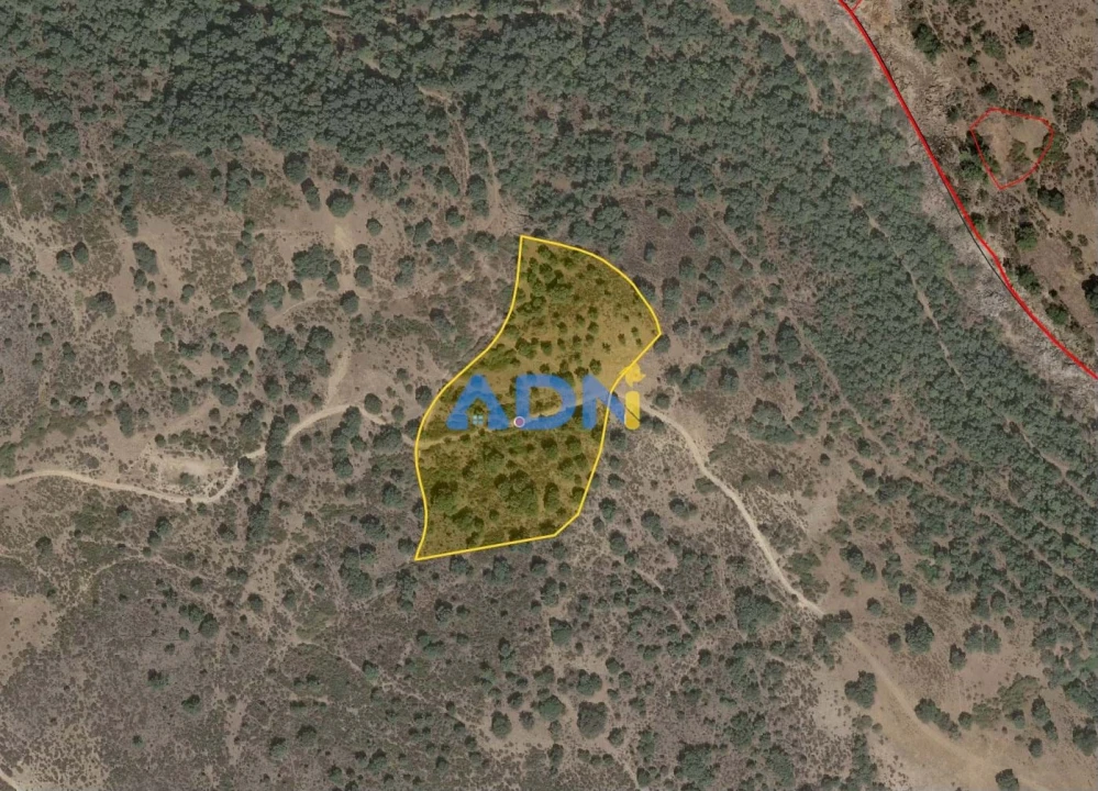 Terreno para Venda em Castelo Branco Foto 2