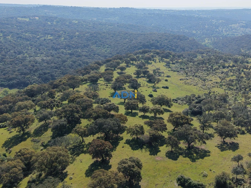 Terreno para Venda em Castelo Branco Foto 28