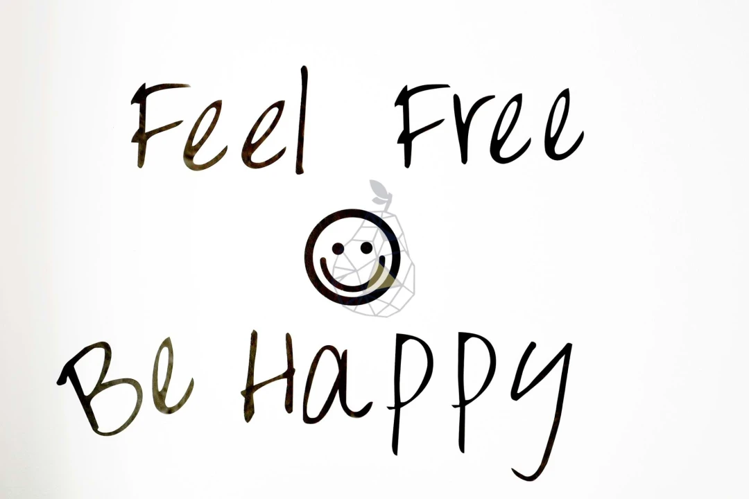 Moradia T2 para Venda em Albufeira e Olhos de Água Foto 4