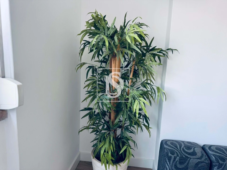 Apartamento T2 para Venda em Agualva e Mira-Sintra Foto 31