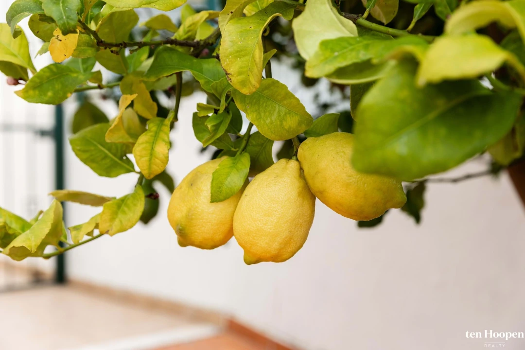 Moradia T3 para Venda em Lagos (São Sebastião e Santa Maria) Foto 28