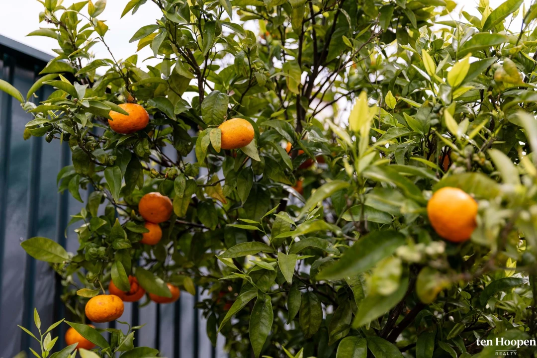 Moradia T3 para Venda em Lagos (São Sebastião e Santa Maria) Foto 13