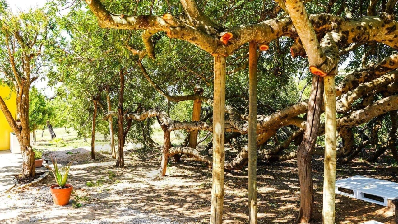 Moradia T4 para Venda em Santa Barbara de Nexe Foto 19