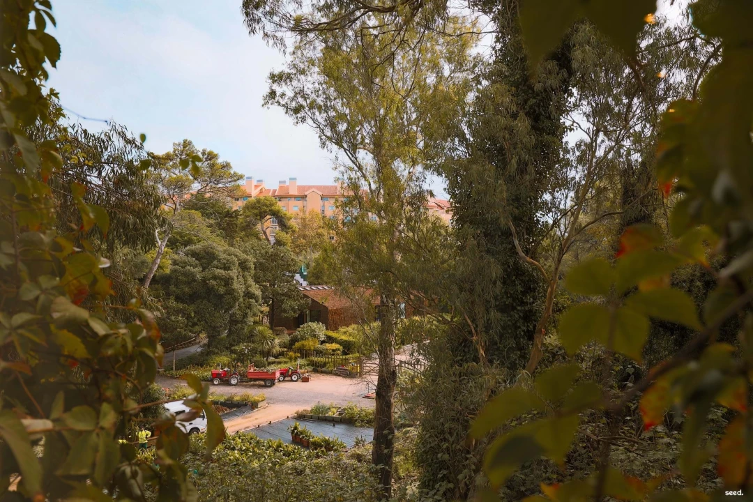 Apartamento T3 para Venda em Cascais e Estoril Foto 21